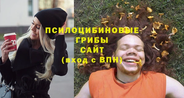 Альфа ПВП Волоколамск