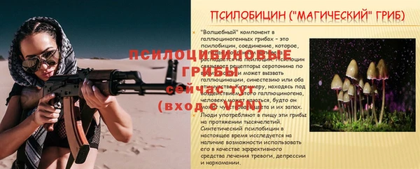 Альфа ПВП Волоколамск