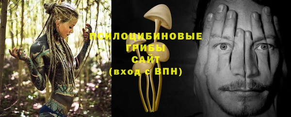 Альфа ПВП Волоколамск
